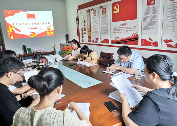 星空网页版党支部召开党史学习教育专题组织生活会
