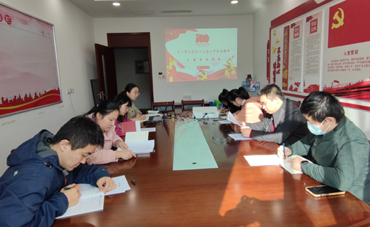 星空网页版党支部开展“学习贯彻党的十九届六中全会精神”主题党日活动