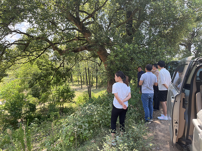 星空网页版组织召开万安县通津河河流整治工程项目初步设计评审会