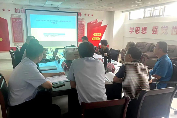 星空网页版组织召开年产15000t玻璃胚珠建设项目节能报告评审会