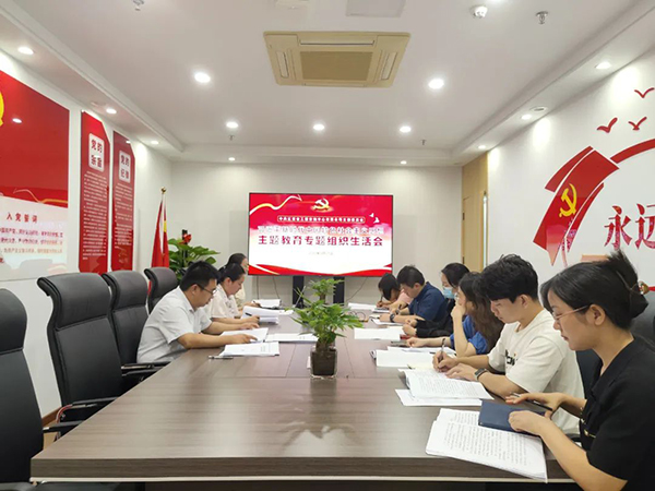 星空网页版党支部召开主题教育专题组织生活会