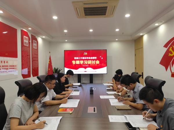 星空网页版党支部召开党的二十届三中全会精神专题学习会
