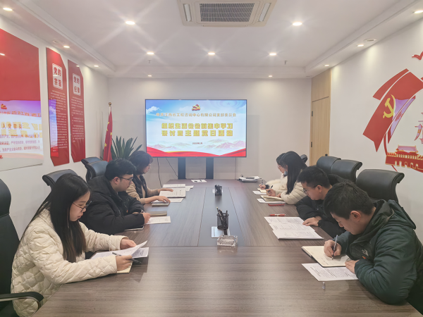 星空网页版党支部开展组织生活会会前集中学习研讨暨主题党日活动